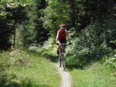 Ist das Radfahren oder Mountainbiken im Wald erlaubt?