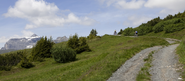 Mountainbiken & Radtouren in Tirol