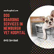 Dog Boarding Services in Newburgh Vet Hospital