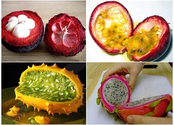 The top 10 exotic fruits