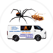 Dinno's Carpet Cleaning & Pest Control