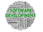 Why We Need Custom Software Development for Business