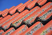What Are the Pros of a Composite Roof? – Nia Nelson – Medium