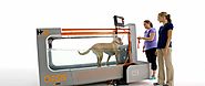 Canine Underwater Treadmill Video | H2O For Fitness