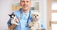 How to choose a Veterinary Clinic Lincoln