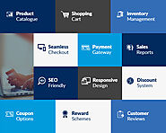 Ecommerce Website Development Company in Noida, Delhi NCR