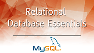 Relational Database Essentials - 365 Data Science