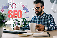 Ways SEO Expert in Delhi Can Help Your Business Grow – Virily