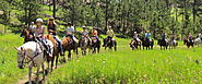 Spend Your Vacation with Horseback Riding in Black Hills