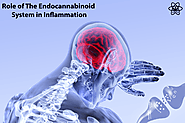 Endocannabinoid Plays Major Role In Inflammation