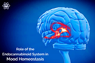What is the role of the Endocannabinoid System in Mood Homeostasis?