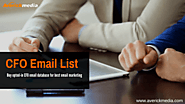 Get Quality And Updated Leads Of CFO Email List From AverickMedia – Job Title Specific Mailing Lists