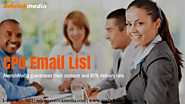 Chase your goals and reach your goals with CPO Email List – Job Title Specific Mailing Lists