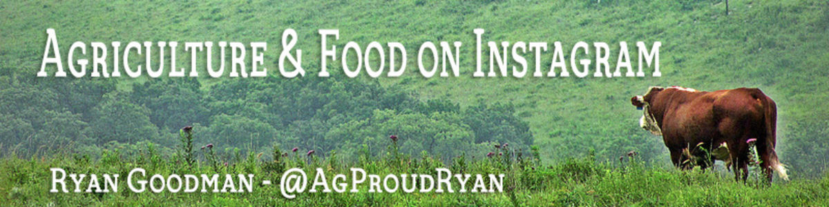 Headline for Food and Agriculture on Instagram