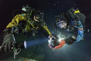 Oldest Genetically Intact Human Skeleton in the New World