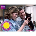 British Comedy TV Shows on Amazon on Bag the Web