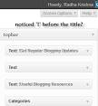 WordPress › Remove Widget Titles " WordPress Plugins