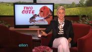 Ellen DeGeneres Animal Edition, Best of 500 Shows Video