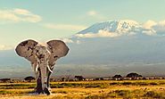 2. Kilimanjaro, Tanzania, 5895m