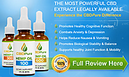 CBDPure Hemp Oil Review - Organic Hemp Oil With Major Health Benefits - BellFeed