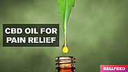 CBD Oil for Pain Relief - BellFeed