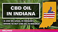 CBD Oil in Indiana: Is It Legal? Where to Buy? [UPDATED 2018]