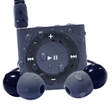 Waterproof MP3 Player: Price and Reviews