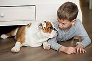 Here’s How a Dog Bite Can Damage Your Child Permanently