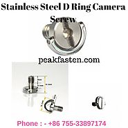 Stainless Steel D Ring Camera Screw