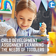Child Development Assignment Examining The Needs Of Toddlers