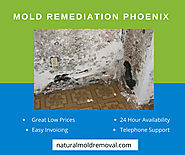 Best Mold Remediation Phoenix