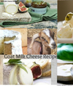 Goats Milk Cheese Recipes