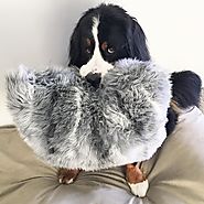 Snuggle Up With Super Soft and Fluffy...Accessories