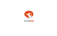SocialDog Review: Smart and Efficient Twitter Account Management Tool