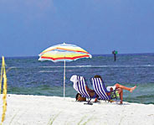 Gulf Shores Vacation Guide - Alabama Vacation Guide Gulf Shores AL