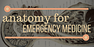 Anatomy – Emergency Medicine Ireland
