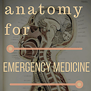 Anatomy for Emergency Medicine 003: The Ankle – Emergency Medicine Ireland