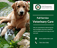 Best Veterinary Care for Your Pet