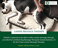 Affordable Pet Vet in McLean - Canine Massage Therapy