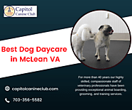 Best Dog Daycare and Boarding in McLean,VA