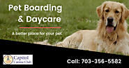 Best Pet Boarding & Daycare Services McLean VA