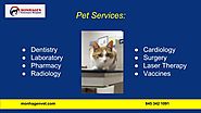 Best Pet surgery Services