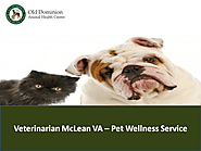 Veterinarian McLean VA – Pet Wellness Service