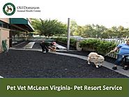 Pet Vet McLean Virginia- Pet Resort Service