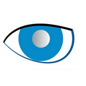 Bionic Eye App