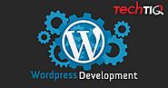 Is WordPress Good For Website development ?