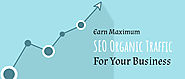 Earn Maximum SEO Organic Traffic For Your Business - Divine