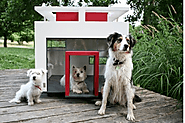 Houses for Dogs | ArchDaily