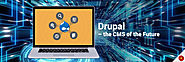 Why Enterprises Choose Drupal for Futuristic Web Application Development?