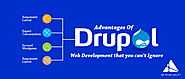Advantages Of Drupal Website Development That You Can’t Ignore